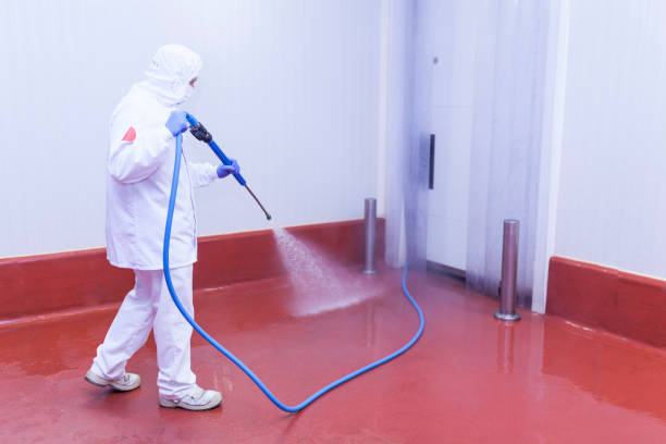 Best Heavy Equipment Washing  in Tierra Verde, FL