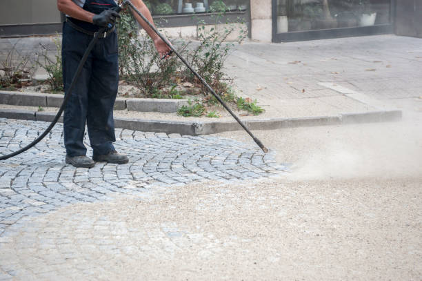 Best Animal Enclosure Cleaning  in Tierra Verde, FL
