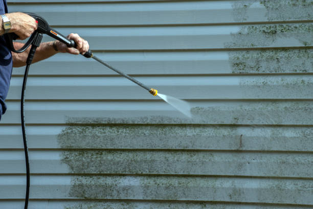 Best Dumpster Area Cleaning  in Tierra Verde, FL